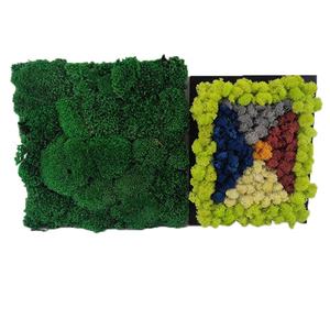 Panel <span class=keywords><strong>de</strong></span> azulejo <span class=keywords><strong>de</strong></span> musgo conservado <span class=keywords><strong>de</strong></span> musgo Natural Real ambiental para decoración del hogar - Product Image 4