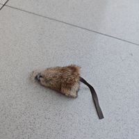 Jouet pour chat en vraie fourrure de lapin naturelle, simulation d'une petite souris, jouet amusant pour s'amuser soi-même, 20g 17x5cm