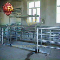 Ligne complète d'abattage de bétail en acier inoxydable SUS304, équipement de traitement automatique pour abattoir de bovins avec solution clé en main