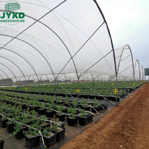 Nouveau design de haute qualité pour plantes agricoles, <span class=keywords><strong>abri</strong></span> contre la pluie pour tomates, <span class=keywords><strong>kit</strong></span> de serre multi-portées - Product Image 2