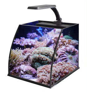 卓上 曲面水槽 海水魚水槽 マリンアクアリウム - Product Image 5