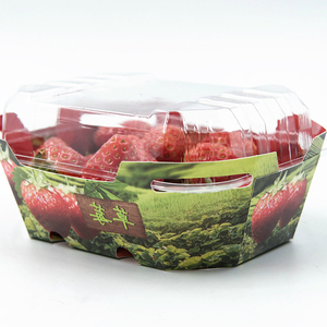 Phổ Biến Dùng Một Lần PET Nhựa Đóng Gói Các Tông Khay Bản Lề Nắp Vỏ Sò Punnet Bao Bì Trái Cây - Product Image 3