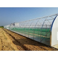 IGreen serre Tunnel champignon serre avec cadre en acier galvanisé autres serres