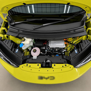 Maremlyn Plateau de rangement pour coffre avant (Frunk) pour BYD Atto 1 Seagull, Tapis de coffre avant, Boîte de rangement pour compartiment moteur EV, Accessoires intérieurs - Product Image 4