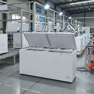 <span class=keywords><strong>Congélateur</strong></span> <span class=keywords><strong>coffre</strong></span> commercial à porte unique <span class=keywords><strong>pour</strong></span> la conservation de la viande en gros - Product Image 1