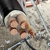 Kabel Tembaga WDZB-YJY LSZH 0.6/1KV-XLPE Berinsulasi Tahan Api Kelas B untuk Tenaga Fotovoltaik