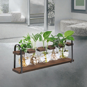 Varilla de Soporte para Orquídeas Phalaenopsis, Soporte de Madera para Enderezar Plantas Trepadoras, Materiales de Construcción para Paisajismo del Hogar - Product Image 3