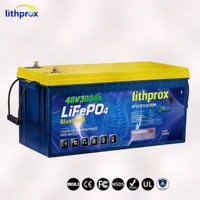 Batterie à décharge profonde robuste 48V 300AH 15KW Grade A LiFePO4 pour VR avec BMS intelligent Bluetooth, borne M8, 6000 cycles, CE RoHS IP67, OEM ODM
