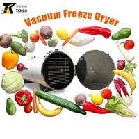 Tek Factory Verkoopprijs Industriële Vacuümvriesdroger 100kg OEM Commerciële Voedsel Lyofilisatie Apparatuur 10m2 Kosten
