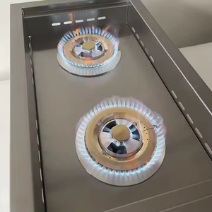 כיריים גז מודרניות פרימיום עם 2 להבות, ישירות מהמפעל, ארון ברביקיו פנימי ומטבחים חיצוניים עם מבער כפול צדדי - Product Image 3