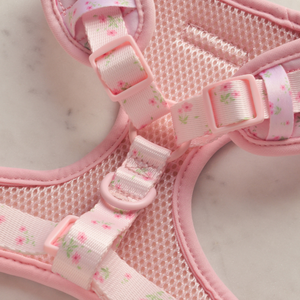 Conjunto de Collar y Correa Personalizados para Cachorros, Arnés Acolchado de Neopreno para Perros - Product Image 2