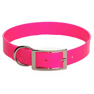 Collier pour chien de chasse moderne en sangle de nylon enduite de TPU Dayglo 1'' avec anneau en D et plaque nominative pour une haute visibilité - Product Image 2