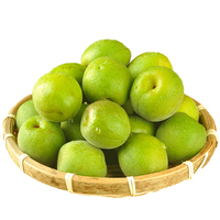 Poudre de prune verte de qualité alimentaire, Poudre de Prunus Mume, Poudre d'Ume, Poudre de prune aigre, Poudre de jus de prune verte, Poudre de prune non mûre