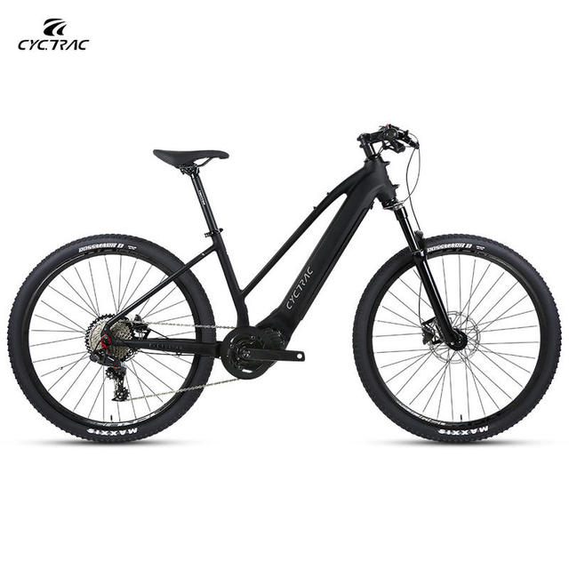 EC1 E-bike 250W Central Motor 48V15Ah Removable Lithium 100km Range Hydraulic Disc Brake 27.5" Aluminum Alloy Mountain Bike