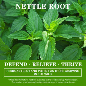 Capsules d'extrait de <span class=keywords><strong>racine</strong></span> d'<span class=keywords><strong>ortie</strong></span> |   Stimulant énergétique, vitalité et soutien urinaire |   Complément alimentaire à base de plantes en gros - Product Image 5
