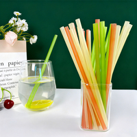 Pailles en riz jetables biodégradables de qualité alimentaire 200 mm Pailles à boire en riz naturel