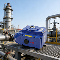Actionneur électrique intelligent de type 200, vanne à boisseau sphérique et vanne papillon à commande électrique pour systèmes de traitement de l'eau