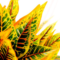 Plantes artificielles en soie murales, fausses feuilles et herbe, décoration murale intérieure/extérieure, hauteur 35 cm