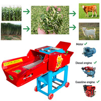 Nouvelle arrivée 220v Picadora De Pasto herbe Silage Chopper haute qualité moteur électrique coupe-paille Machine avec diesel