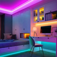 Haute qualité 24V RGB LED bande lumières étanche scène intelligente paysage éclairage décoratif diodes de couleur pour une utilisation en extérieur et en intérieur