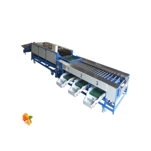 Apple Orange Grading Machine Potato Sorting and Washing Machine Grading and Drying Machine for Fruits - Product Image 5