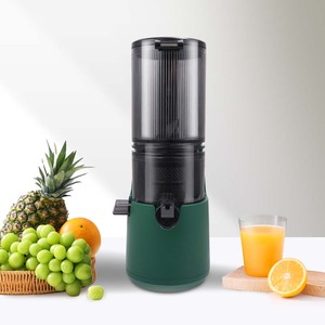 Chiến thắng Sao ST-1030 mô hình mới Chất lượng cao Cam Trái Cây Rau thiết bị nhà bếp điện chậm máy ép trái cây Báo Chí lạnh máy ép trái cây - Product Image 5