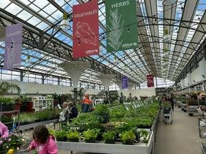 دفيئة بإطار معدني سريعة التركيب للاستخدام المنزلي في الفناء الخلفي، مقاومة للماء مع زجاج مقوى وحجم قابل للتخصيص - Product Image 4