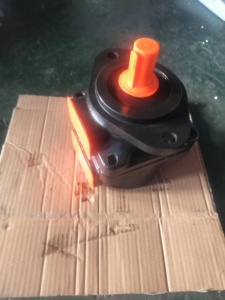 ปั๊มใบพัดไฮดรอลิก PFE-31044 1DT PFE-41029 PFE-42056/3DT 20ปั๊มใบพัดไฮดรอลิก PFE-41037/1DU 20 PFE- 41045/PFE-21010-1DT 1DT - Product Image 5