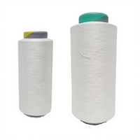 Fil monofilament 100% Nylon PA66 DTY 36 blanc brut pour chaussettes, antibactérien, haute ténacité, absorbant l'humidité, non torsadé, pour couture et travaux manuels