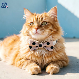 Collier pour chat avec nœud papillon réglable pour chaton et chat adulte, accessoire de mode pour animaux de compagnie, petite taille, motif à pois noir, blanc, rose, jaune - Product Image 2