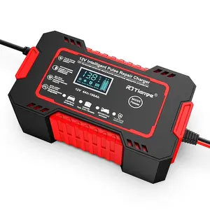 Direct Groothandel Auto Acculader 12V Intelligente Detectie Rjtianye Auto Acculader