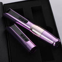 Stylo PMU Électrique Sans Fil Charme Princesse CP M2 E451 Double Batterie 800 mAh 2.0-3.5mm Acier Inoxydable USB-C 121g 10 Pièces Sourcils Lèvres