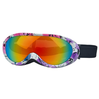Lunettes pour chiens, accessoires imperméables pour animaux de compagnie, lunettes de soleil pour animaux, lunettes de ski pour chiens, lunettes de protection