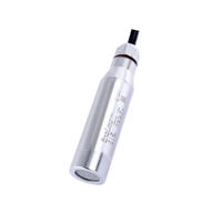 CYW03 Star Meter Piezoresistive Osmometer Dam Drilling Custom Hydraulic Water Pressure Monitoring Submersible Stainless Steel