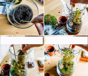 Gift Idea <strong>Terrarium</strong> Kit Office Decor Outdoor Decoration Vase American Style <strong>Plastic</strong> Plant Pot Murano Glass with Cork Lid Home - Product Image 4