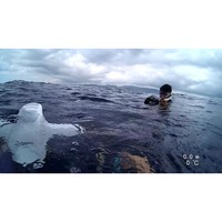 CAMORO Robosea Seaflyer 1.o Scooter sous-marin électrique pour la plongée en apnée dans l'eau Hélice d'équipement de plongée à main