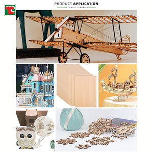 3 <span class=keywords><strong>Mm</strong></span> Bán Buôn Poplar 15Mm Cắt 4Mm Basswood 3 <span class=keywords><strong>Mm</strong></span> Hình Vuông Khắc Laser Màn Hình Phật Sơn Bass Ván Ép Cho Óc Chó 12x12 Inch - Product Image 6