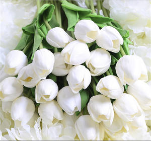 بيع بالجملة ساق واحد مع أوراق لمسة حقيقية حار بيع نمط جديد الاصطناعي بو الزنبق الزفاف حزب زهور التوليب - Product Image 5