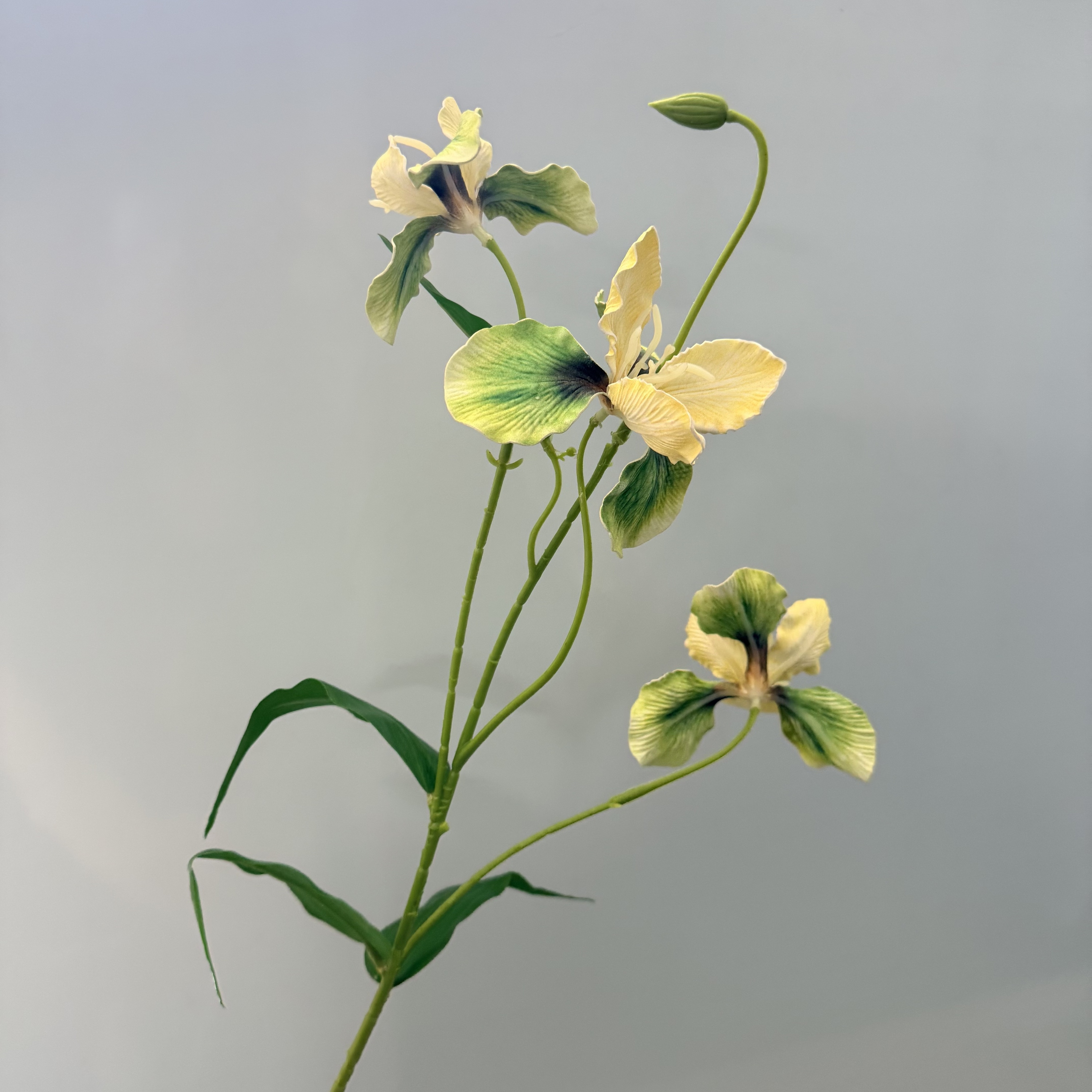Éclaboussure jaune/verte