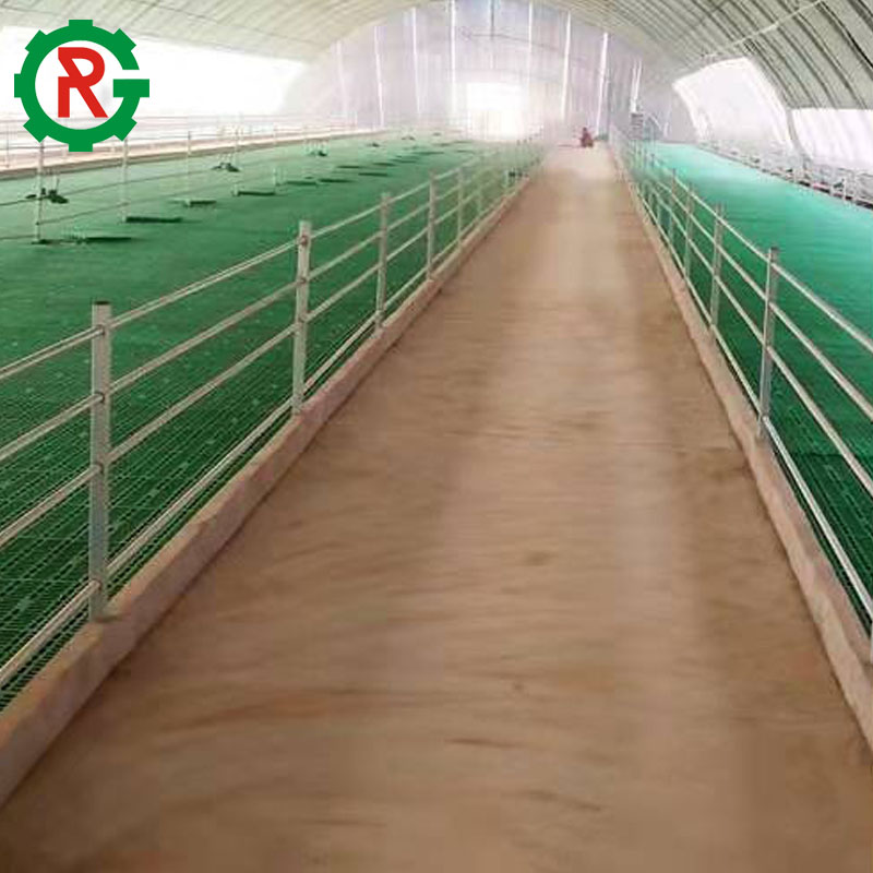 鳥豚 JacquesPergay (ジャックペルゲイ) Lotus クープディッシュ