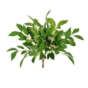 <span class=keywords><strong>Real</strong></span> Like artificial greenery Wedding foglie artificiali Decorative foglie di eucalipto in vendita - Product Image 2