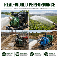 Pompe à eau portable 4 pouces à haut débit en fonte pour l'irrigation des jardins, des pépinières et des fermes