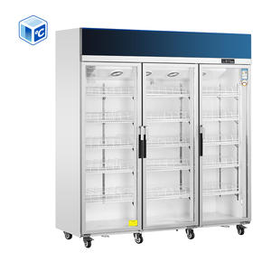 상업용 냉장고 냉동고 사일런트 스테인레스 스틸 압축기 스탠드 업 냉동고 1 더블 3 도어 상업용 유리 도어 냉동고 - Product Image 1