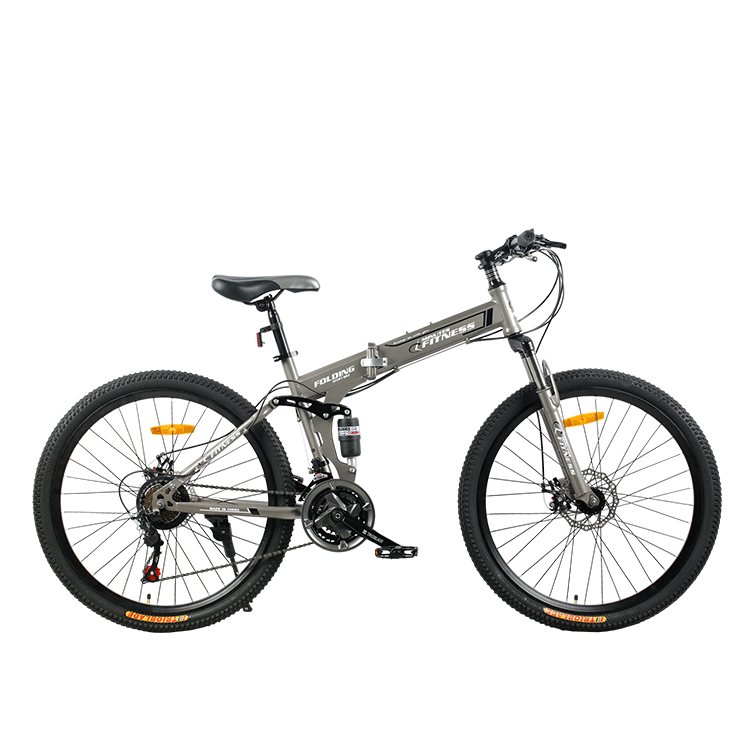 Chinese Wholesale New Style Folding Bicycle