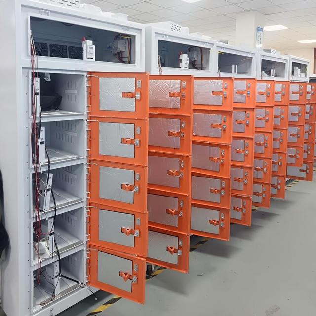 Custom Two Wheeler Battery Swap Station 800W 1300W 1500W Lithium Battery Charging Station Cabinet