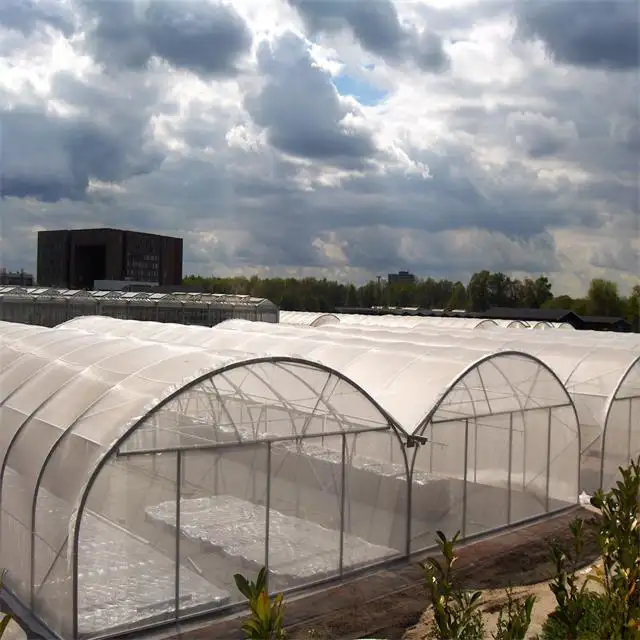 Diskon besar rumah kaca pertanian terowongan sayuran rumah kaca plastik untuk dijual