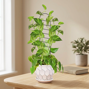 Lot de 2 supports métalliques pour plantes, 17,5 pouces de haut, arche moderne pour plantes grimpantes, support de jardin pour fleurs - Product Image 1