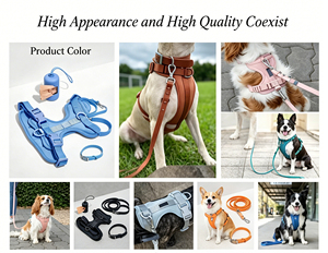 Arnés, Collar y Correa para Perro Personalizados, Impermeables, Ajustables, con Hebilla de Poliéster - Product Image 6