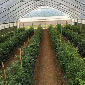 Kit de serre tunnel simple à grande portée, système hydroponique en film plastique pour la culture agricole de tomates, de laitues et de fraises - Product Image 5