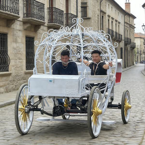 Asientos para Vehículo Eléctrico 2025, Regalo, Personalizados, para 2 Personas, Estilo Carruaje Real Europeo - Product Image 5